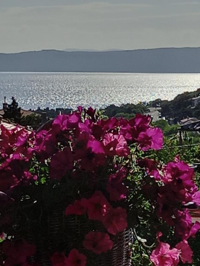 Garfild 1 Guest House Novi Vinodolski Dış mekan fotoğraf